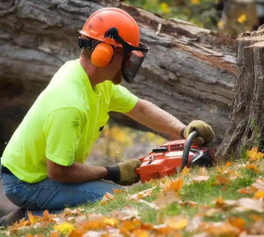 tree services Pilot Grove